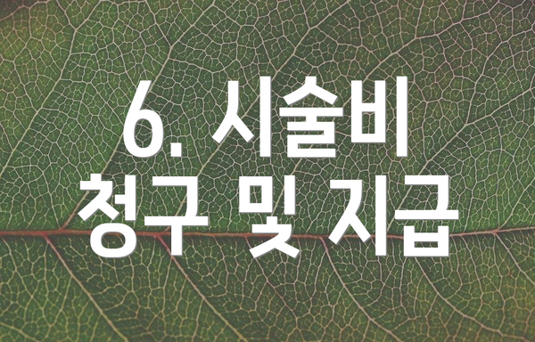 6. 시술비 청구 및 지급