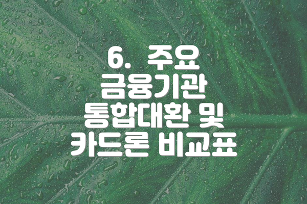 6.  주요 금융기관 통합대환 및 카드론 비교표