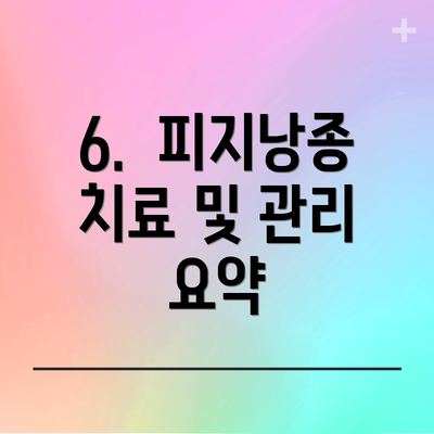 6.  피지낭종 치료 및 관리 요약
