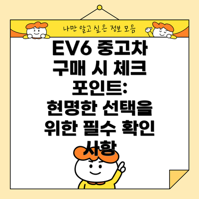 EV6 중고차 구매 시 체크 포인트:  현명한 선택을 위한 필수 확인 사항